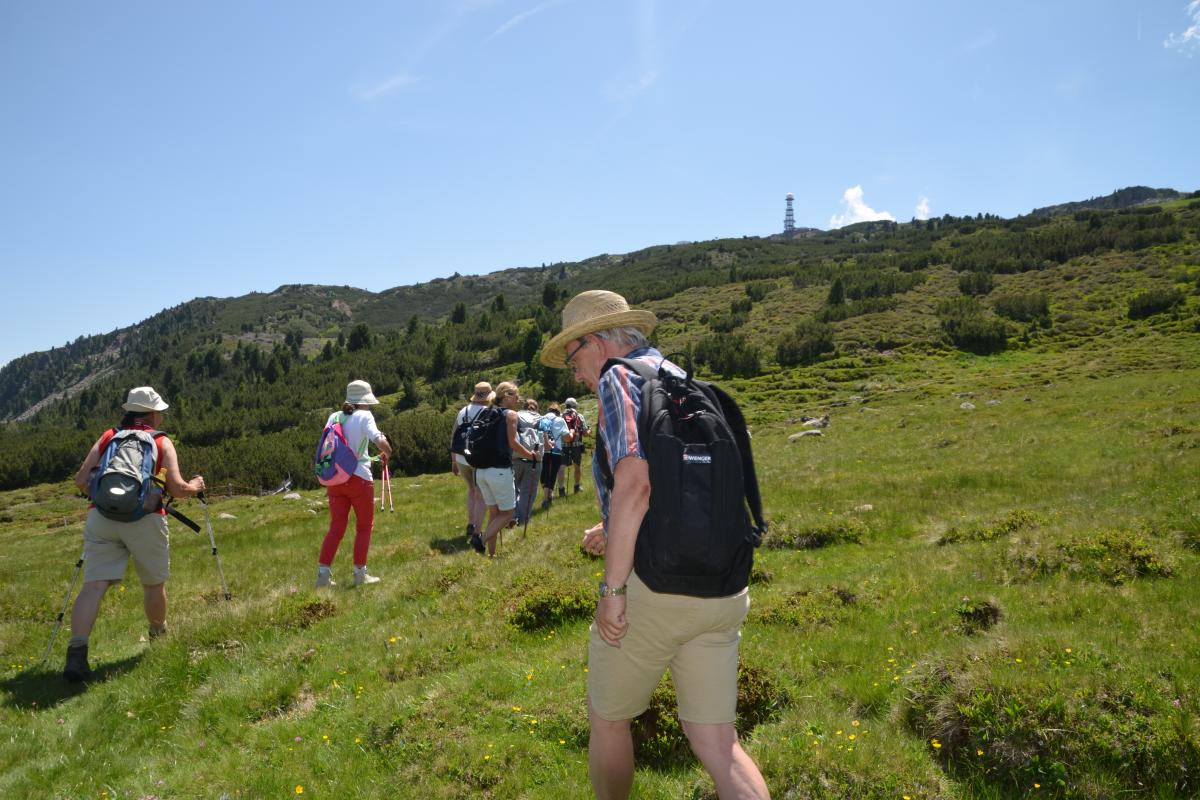 Platzer Alm 26.06.2019